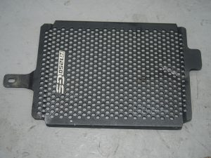 2020 BMW ER 1250 GSA RADIOTOR GUARD R/H
