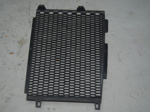 2020 BMW R 1250 GS RADIOTOR GUARD L/H